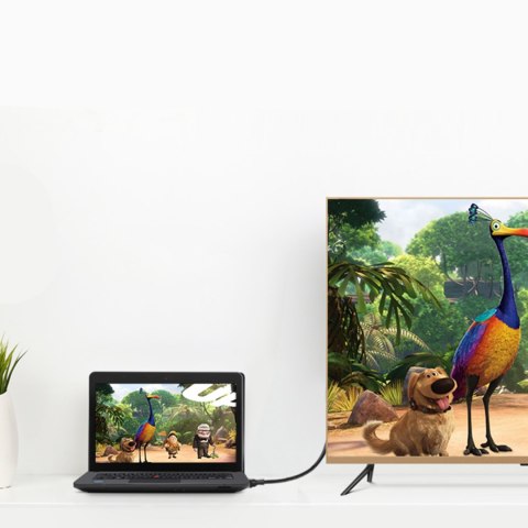 Kabel przewód Mini DisplayPort - DisplayPort 2K 4K 1.5m czarny