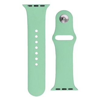Silikonowy pasek do zegarka Apple Watch 2-9/SE 38/40/41mm Silicone Strap APS jasnozielony