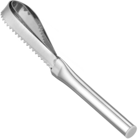 Skrobak do usuwania łusek z ryb stalowy 240 x 46 mm