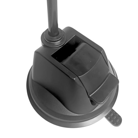 Zabawka dla kota ruchomy ptaszek na wędce z przyssawką